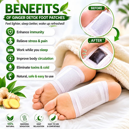 🌿 Ginger Detox Foot Patch Deep Cleansing & Wellness Support – Buy 1 Get 1 FREE |